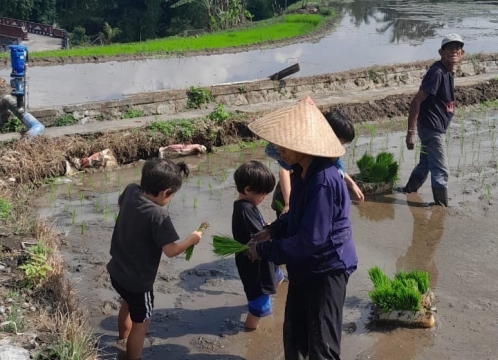 地元の農家さんと一緒に田植え体験‼